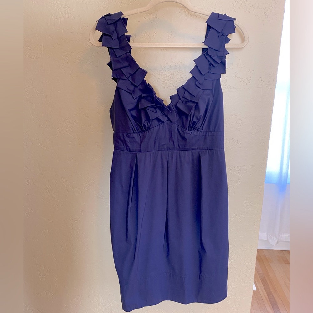 Fun & Flirty BCBG Max Azria Kerry Dress